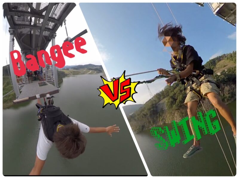 bungee vs swing